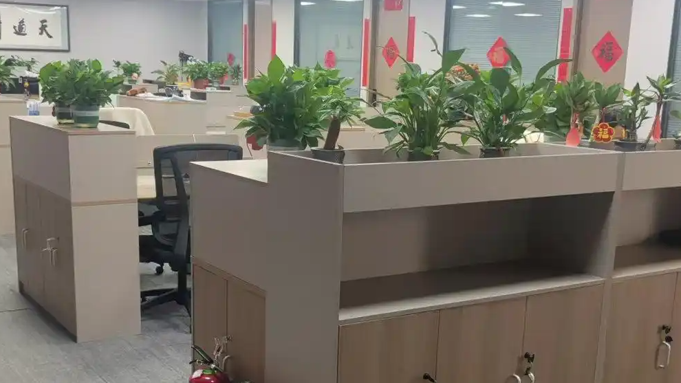 “假装上班公司”真的在上班