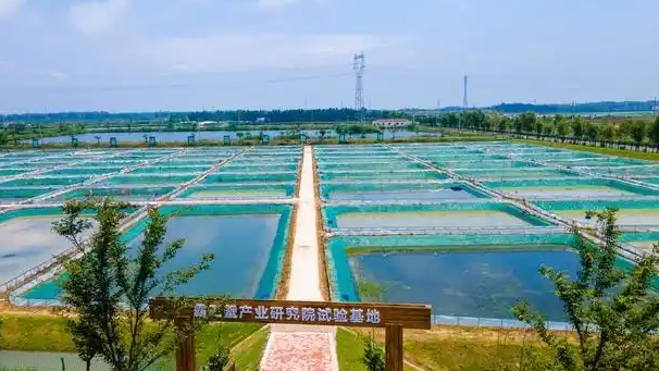 科技小院如何助农惠农