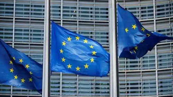 古驰蔻依罗意威被罚款1.57亿欧元