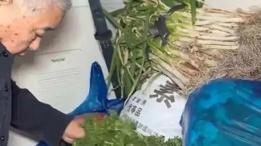 东北人囤秋菜名场面