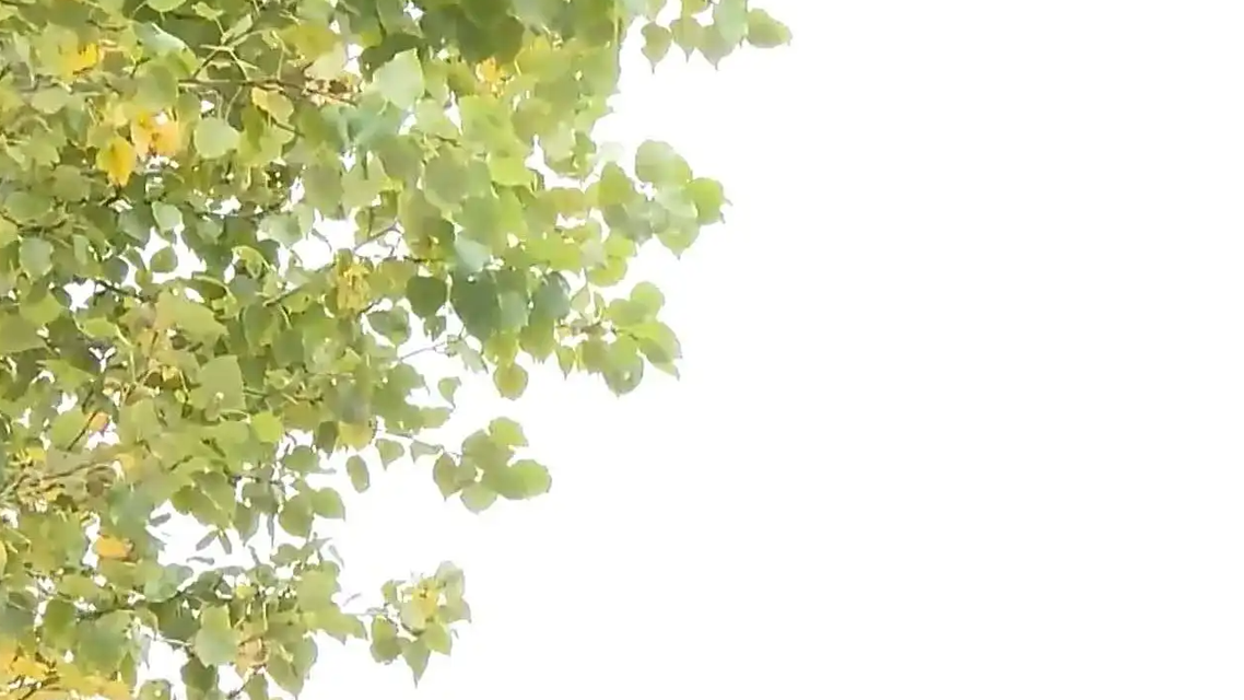 北方迎罕见寒冷 南方气温创新低