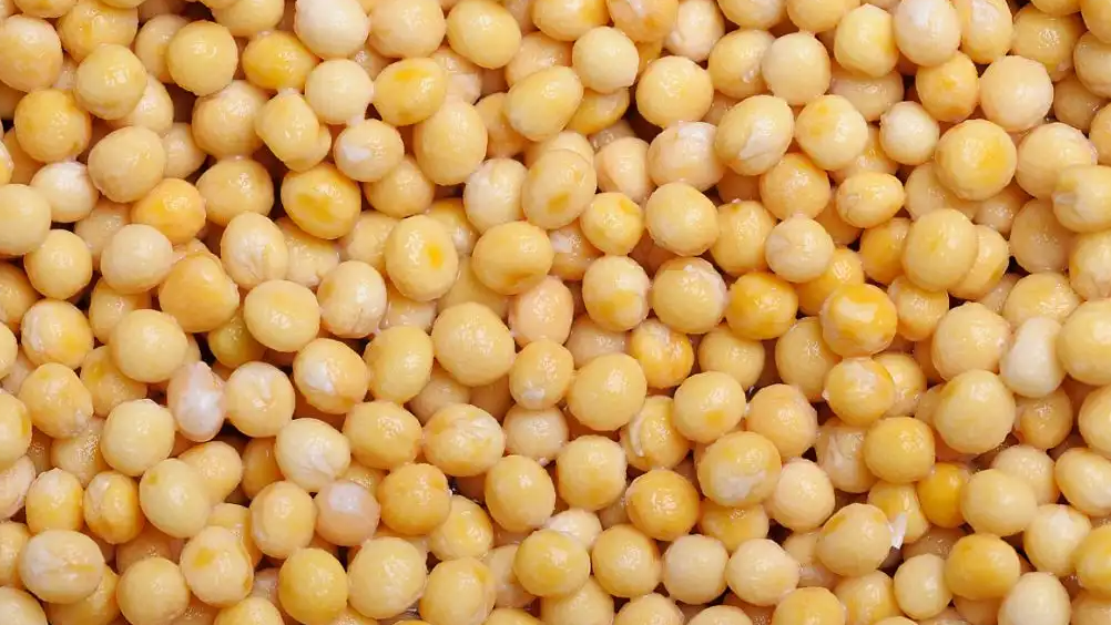 中国9月未从美国进口大豆