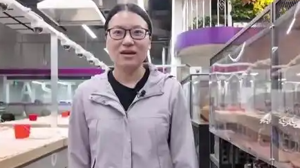 90后女生高职毕业任教清华