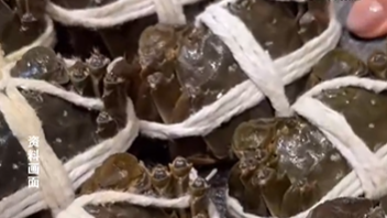 477元买16只螃蟹 收到2死蟹14臭蟹