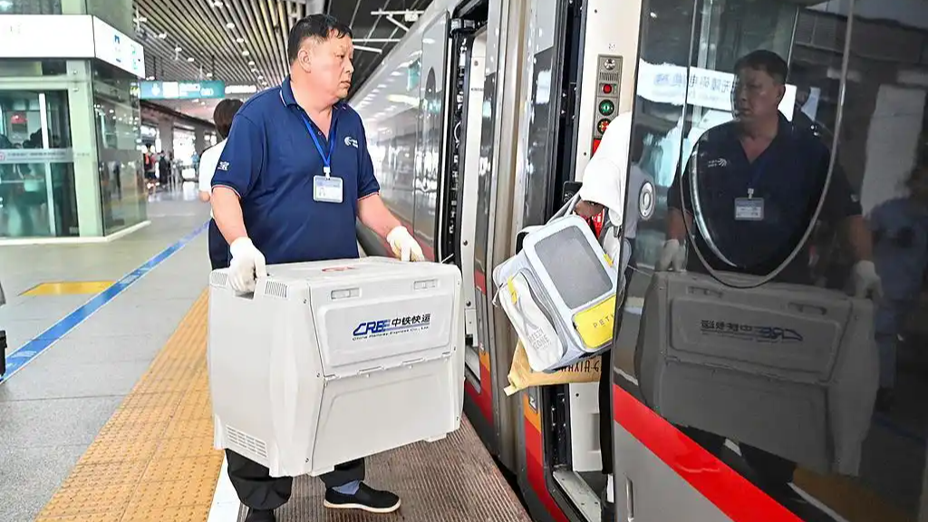 12306服务上新：宠物可无人陪护托运