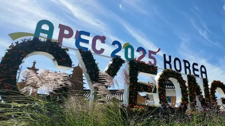 开放中国为世界经济提供“稳定锚”