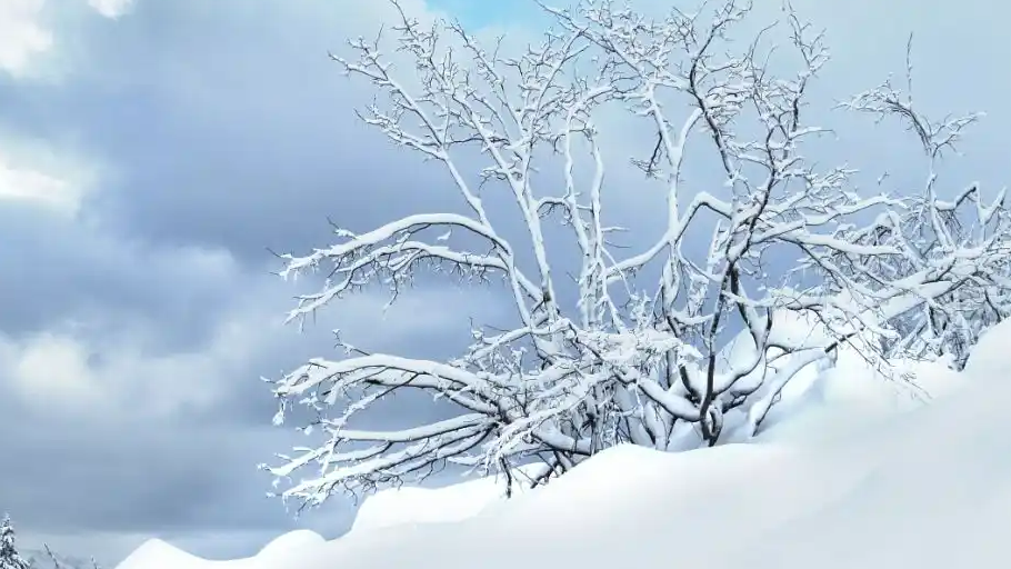 立冬时节真的一天比一天冷吗