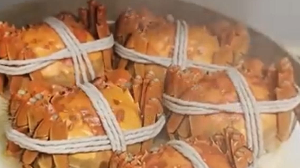 宠物医院用CT检查蟹黄多不多