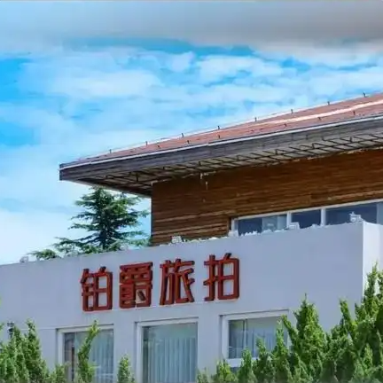 铂爵旅拍董事长等被执行1.75亿