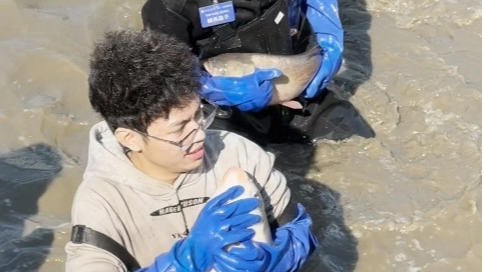 高校师生下湖捞鱼 直播间超10万人