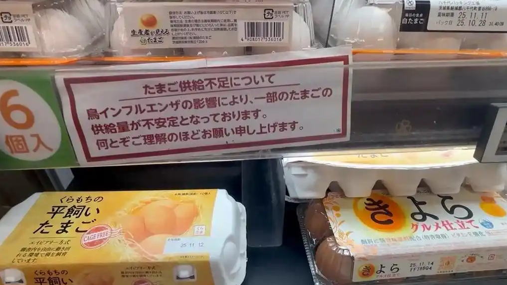 日本遭高市妄为之“祸”