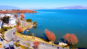 我在大理写代码