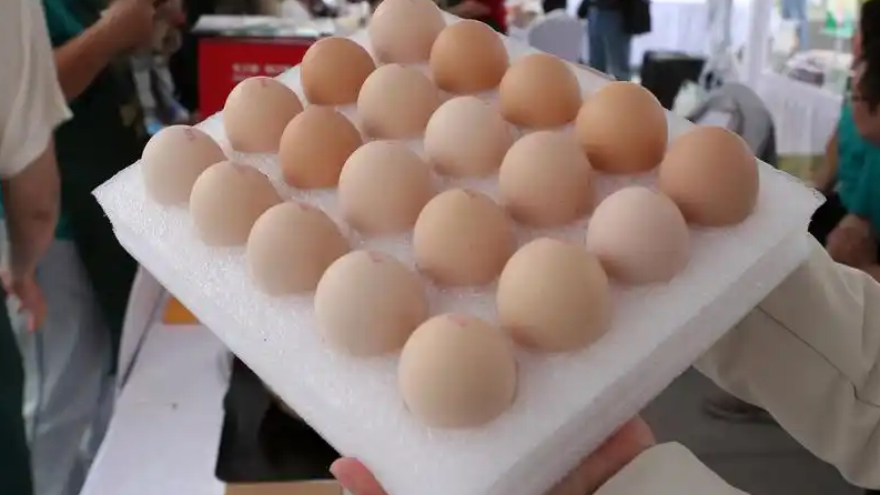 免费领鸡蛋诱骗35名老人共1.2万