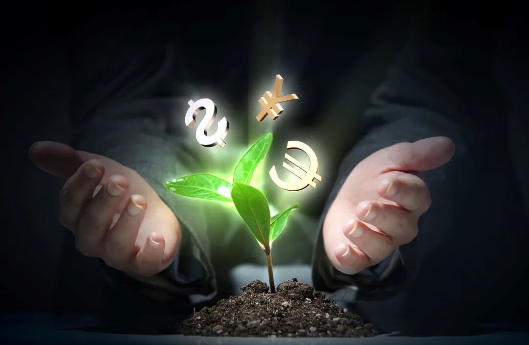 “写代码15年了，为什么我还是没腻？”