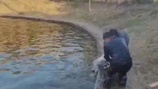 刷屏全网的黑衣男子是一位大学教授