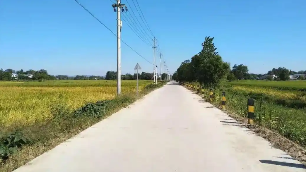 00后村支书晒最接地气年终总结