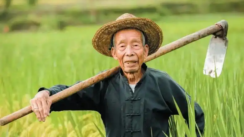 给农民评职称 这种“创新”值得商榷