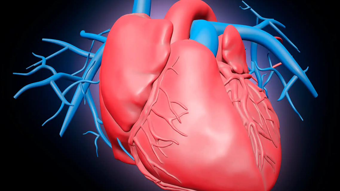 法医解剖吸毒者心脏比普通人大一倍