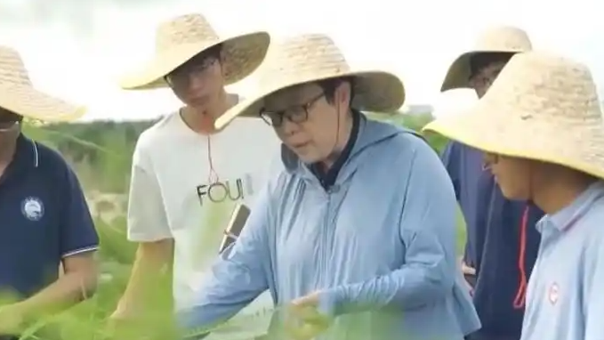 硬核领航 中国科技创新再攀高峰