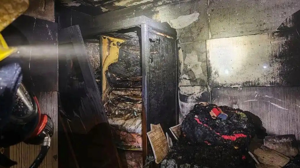 智能的它烧了家