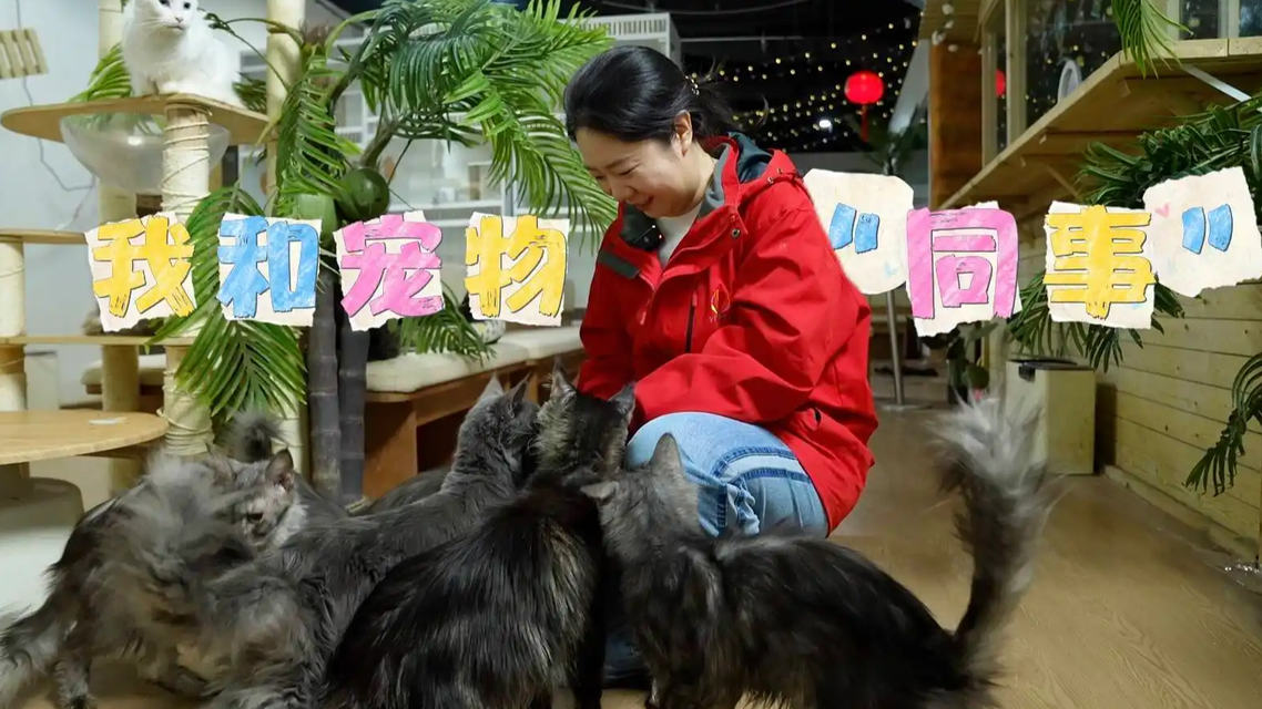 年轻人“搞钱”有一套