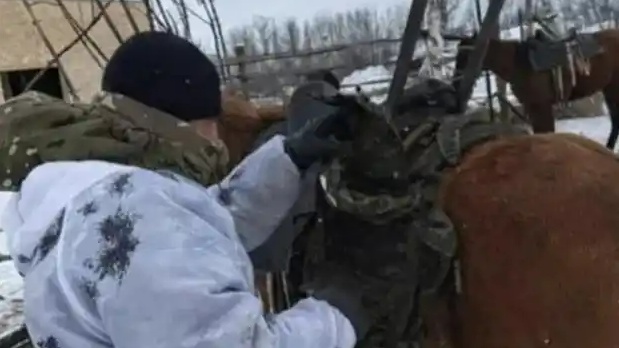 俄军在马背上安装“星链”