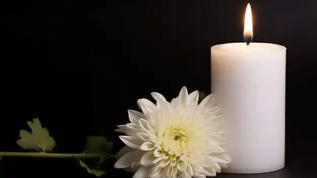 两名91岁院士同日去世