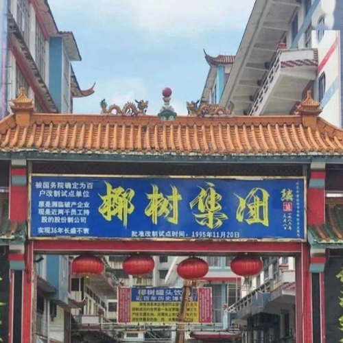 海口市监局因低俗广告约谈椰树