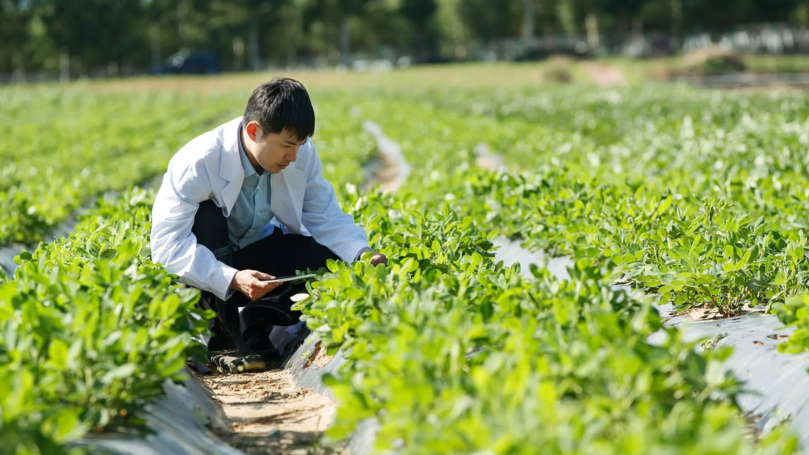 公司回应月薪7000招30-35岁男性种地