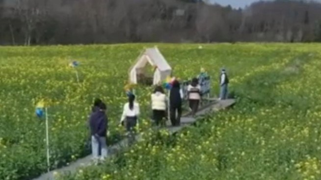 未来乡村会比AI生成的还漂亮