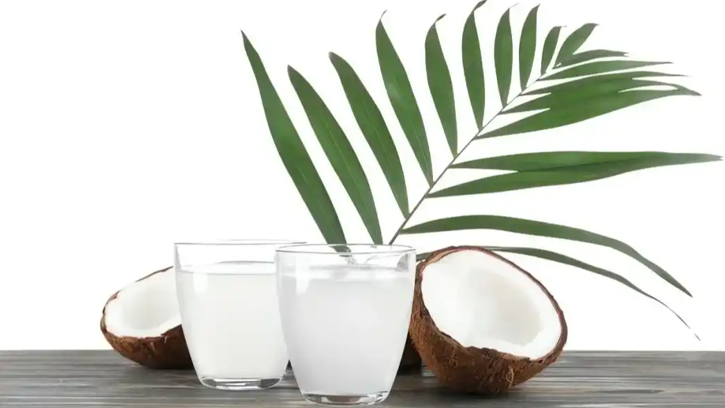 椰树集团申请100%椰子水商标被驳回