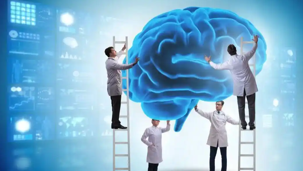 新研究发现大脑32岁才成年