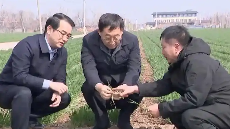 河南省委书记到田间地头调研