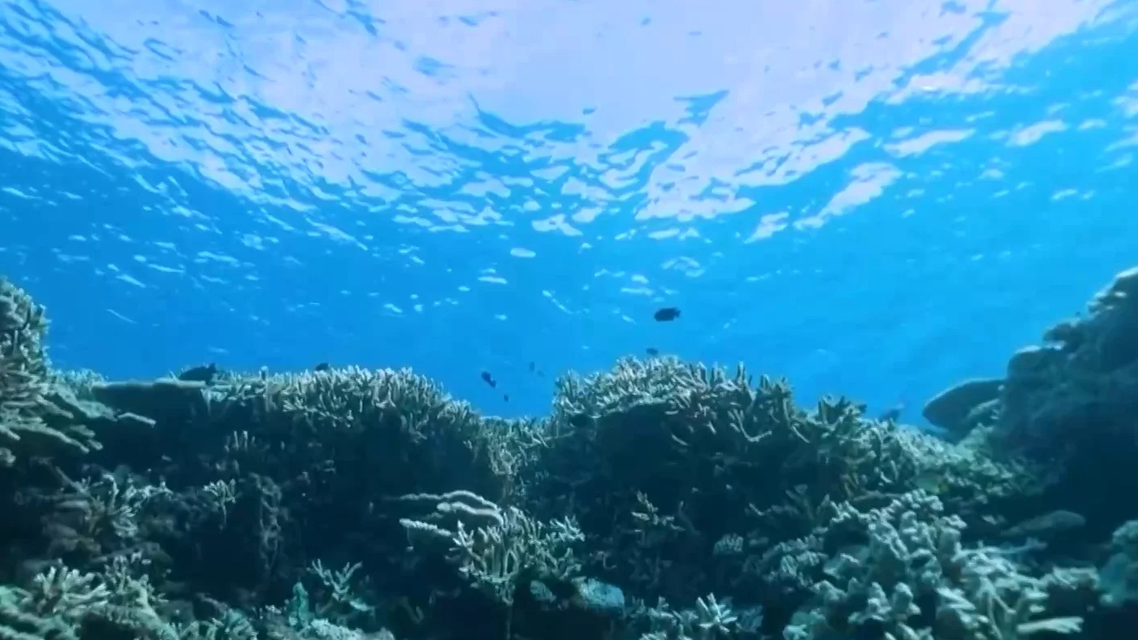 春末夏初或进入厄尔尼诺状态