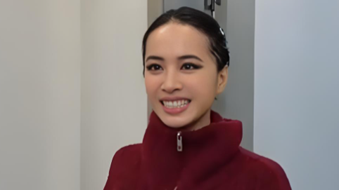 “雪山救狐狸”的AI风吹到了蔡依林