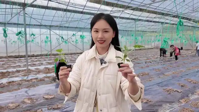 浙江一乡村年薪20万招西瓜主理人