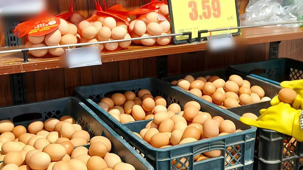 鸡蛋价格为何不降反升