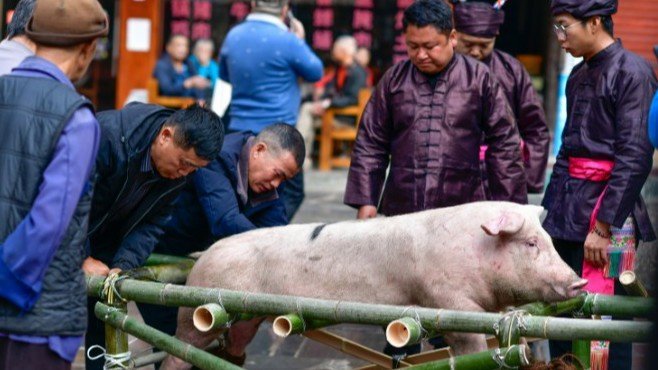 重庆摇人按猪女孩现状：已回城工作