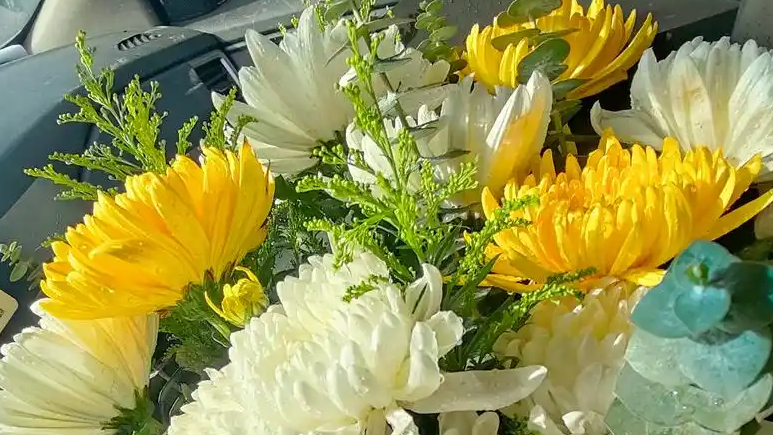 清明代祭扫乱象频发 有人甚至上错坟