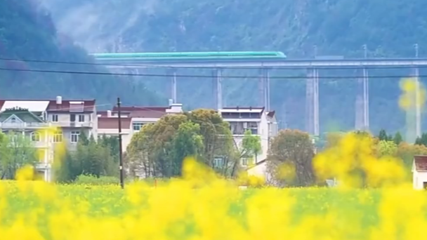 “三无”村的“火锅营地”火了