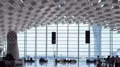 有人已经把2026全年机票提前买好了