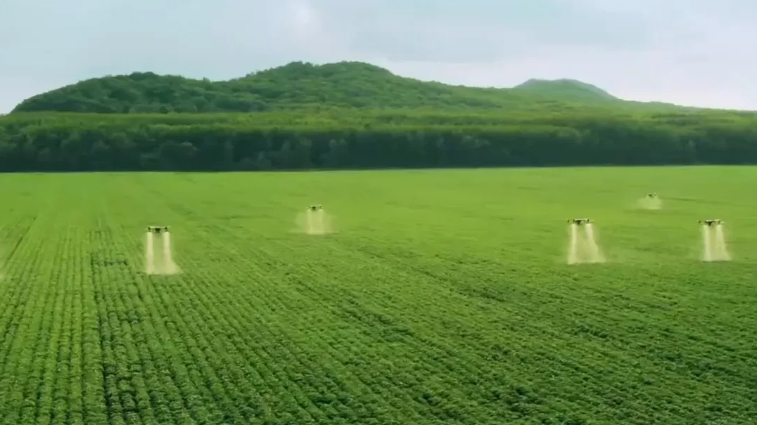 2030年的中国什么样