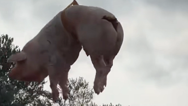祭祖可以轻松但不能“过了头”