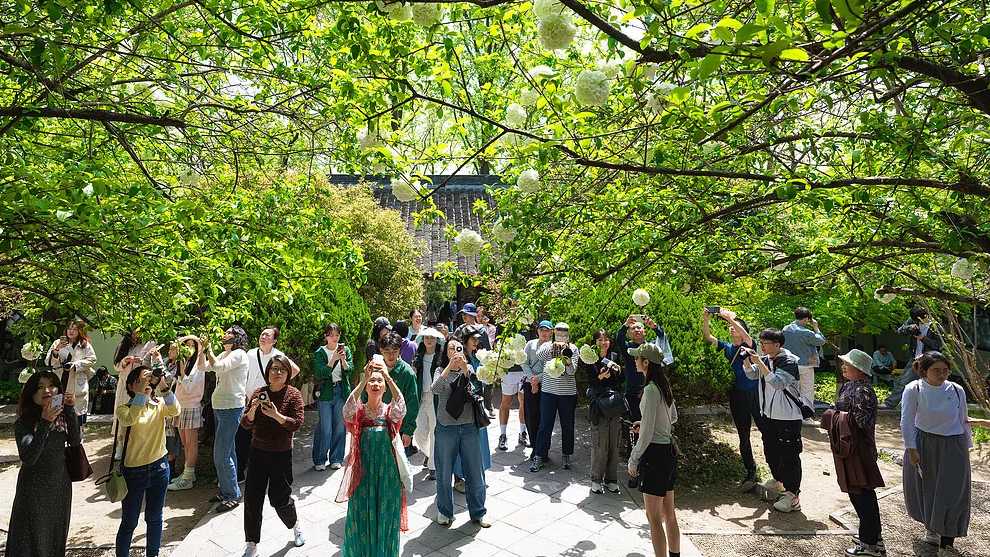 春假联动下“最夯清明假期”收官