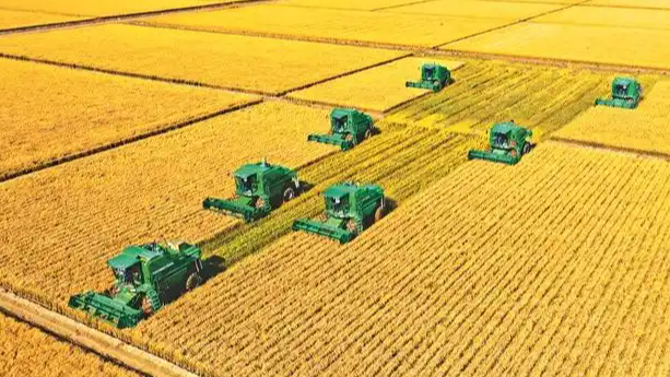 10万亿财政转移支付 被谁拿走了