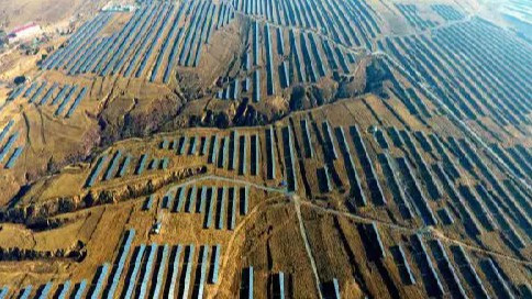 “在这些领域 中国独树一帜”