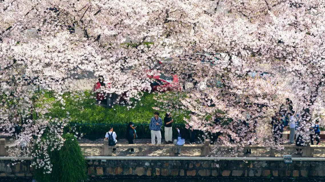 踏春赏花 让美景变“钱景”
