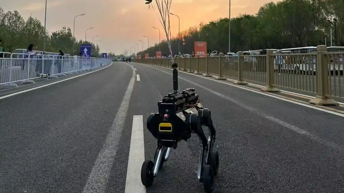 北京半马的“关门兔”是机器人