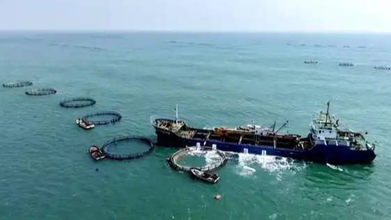 起底菲律宾的生态谎言