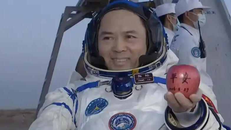 张陆带回了一个写着平安的苹果
